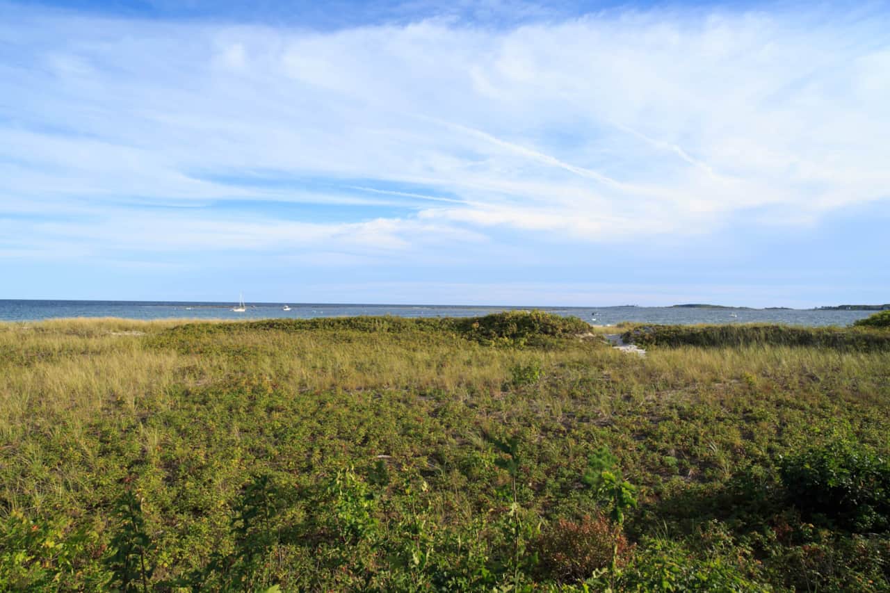 P71A0257.jpg