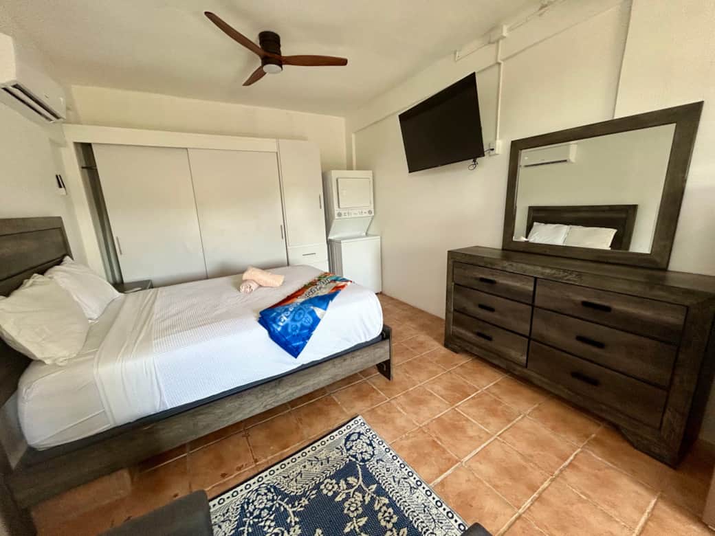 TV , full dresser, large closet, and washer/dryer