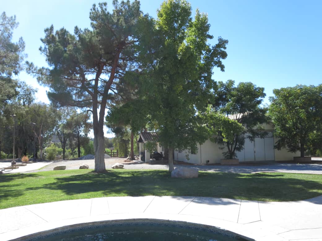 Backyard with Real Grass Lawn