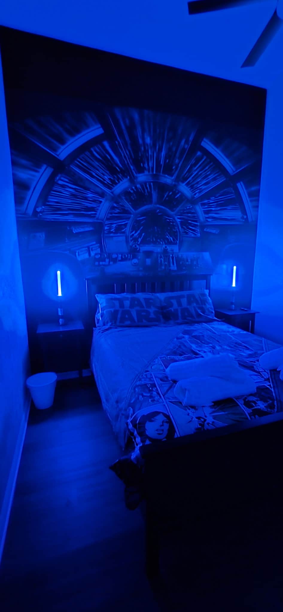 Queen Bedroom (Star Wars)