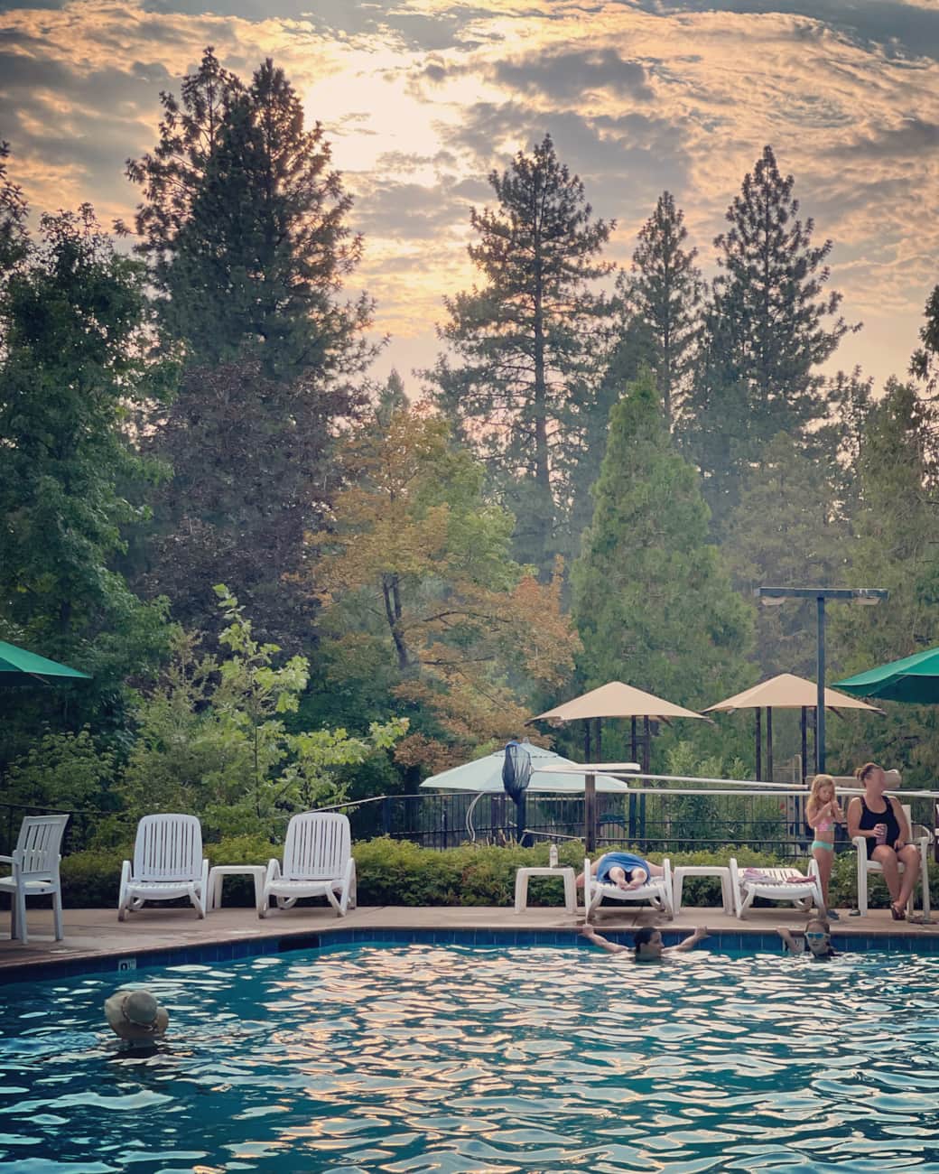 Evening swims