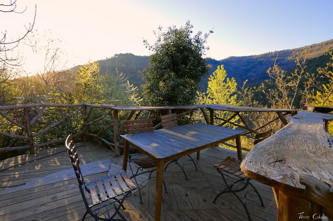 Vista
