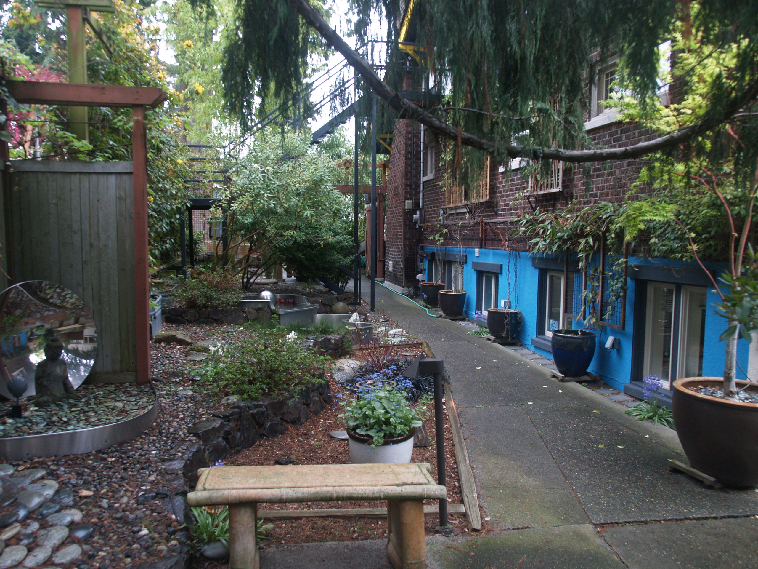 The shared garden on the west side