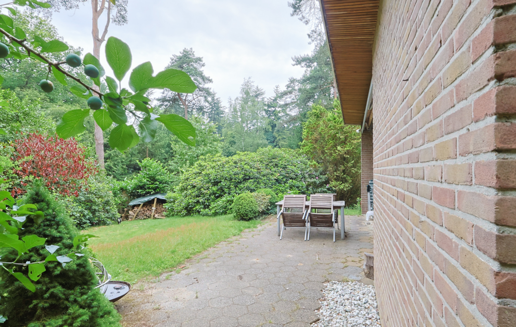 Garden and terrace Garden and terrace