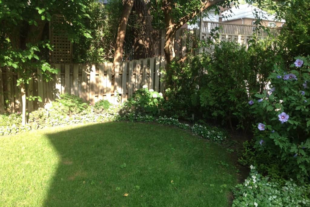 16 Backyard