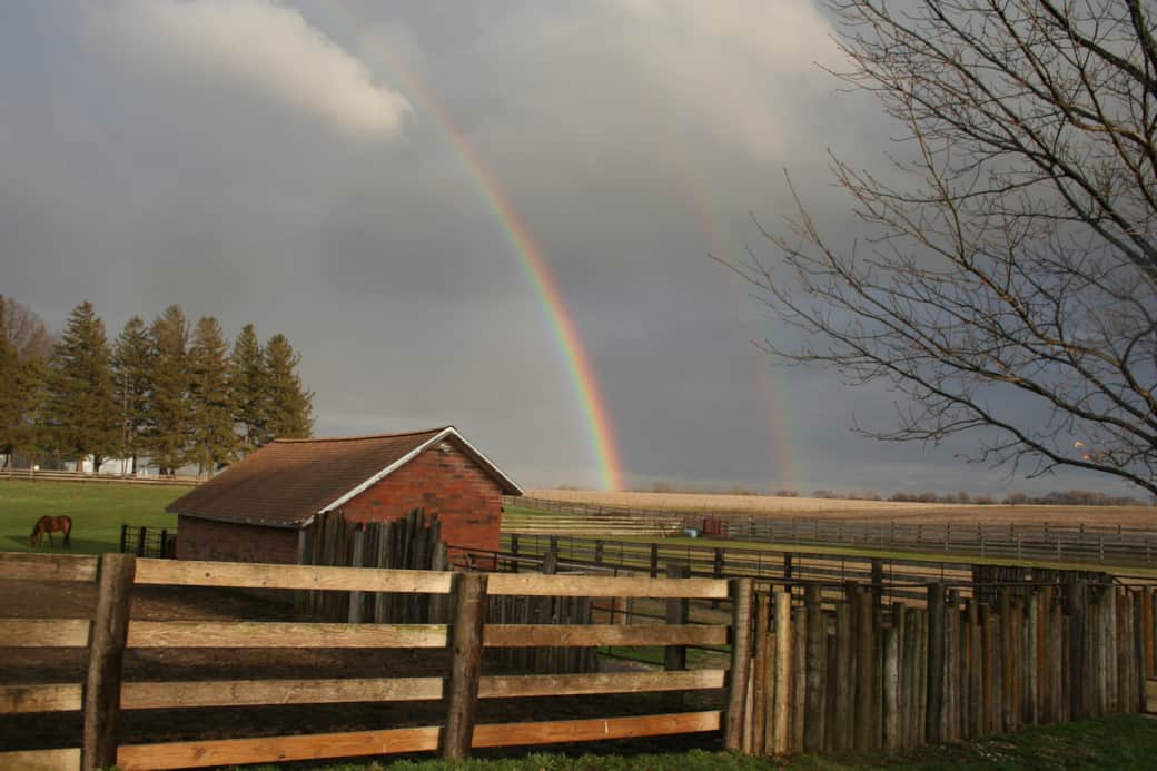 Double Rainbow East Pasture & Will Double Rainbow East Pasture & Will