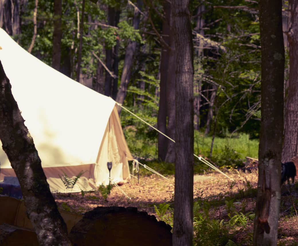 Take a leisurely hike from your tent to the reservoir. Take a leisurely hike from your tent to the reservoir.