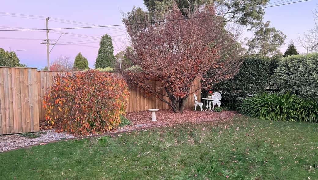 Garden in Autumn