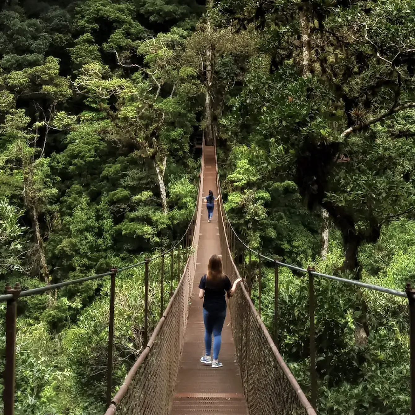 Tree Trek Boquete Adventure Park