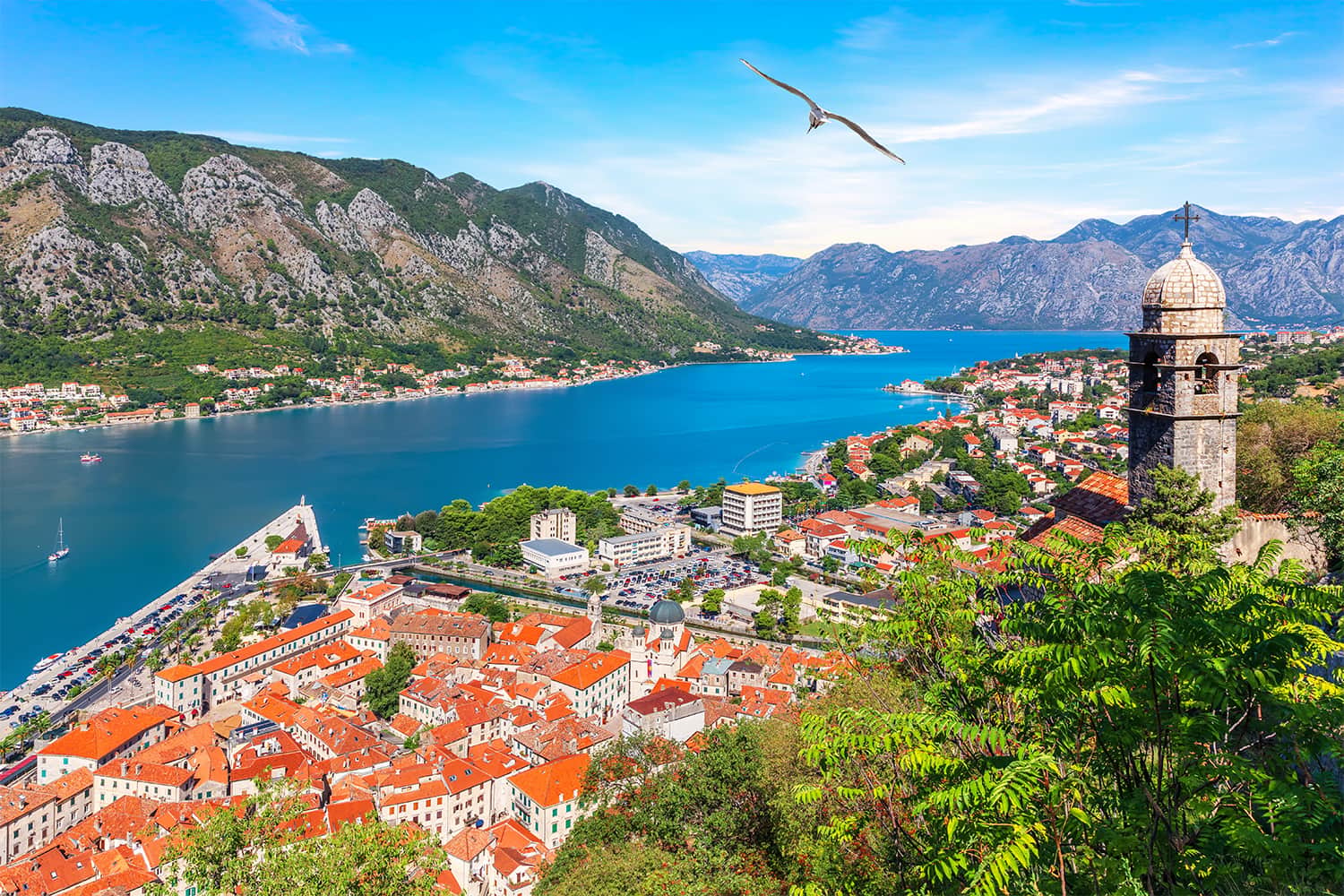 Image of Perast