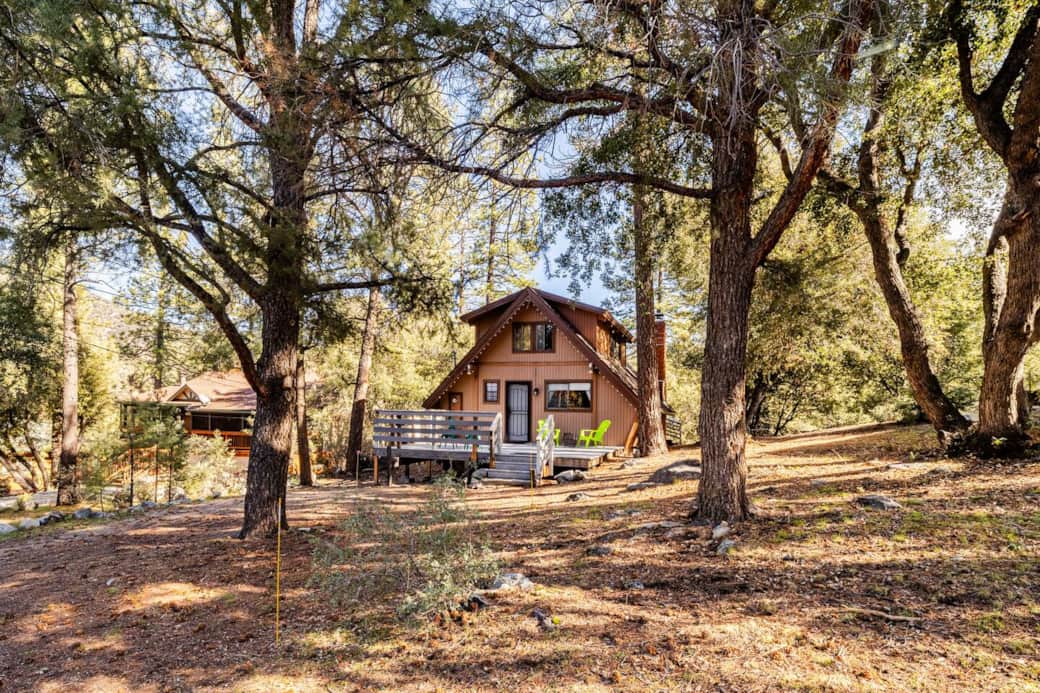 -Secluded and private cabin on a shady, wooded lot with mature pine a