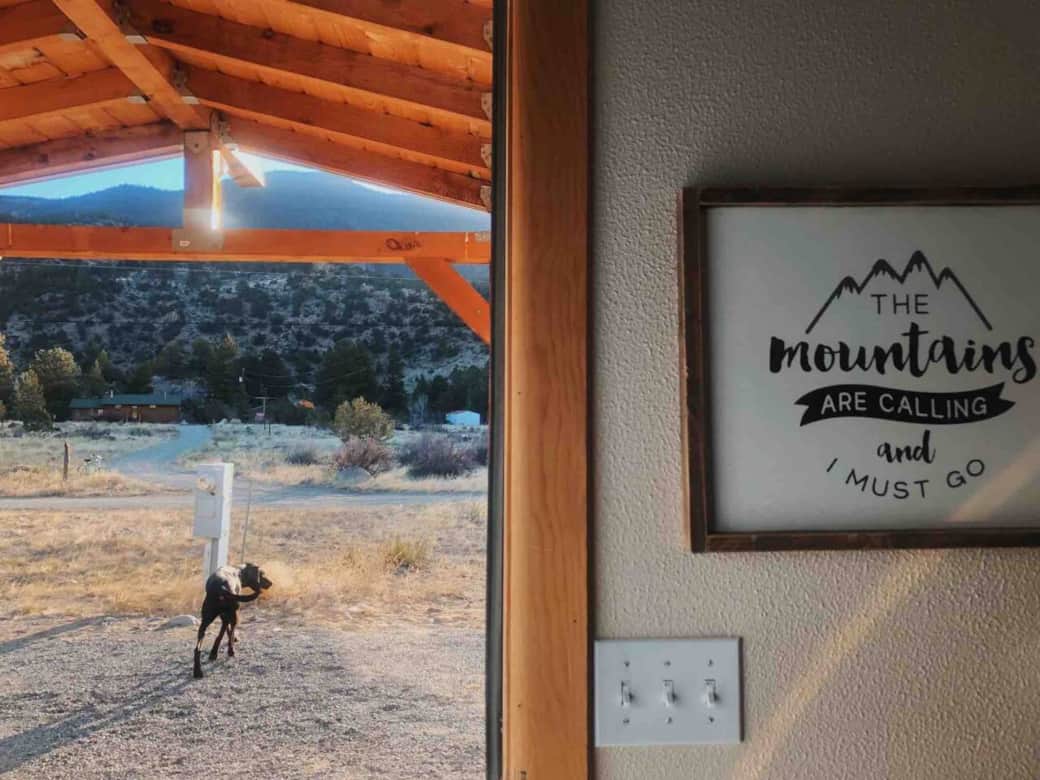  Pup friendly! With fenced in backyard. 