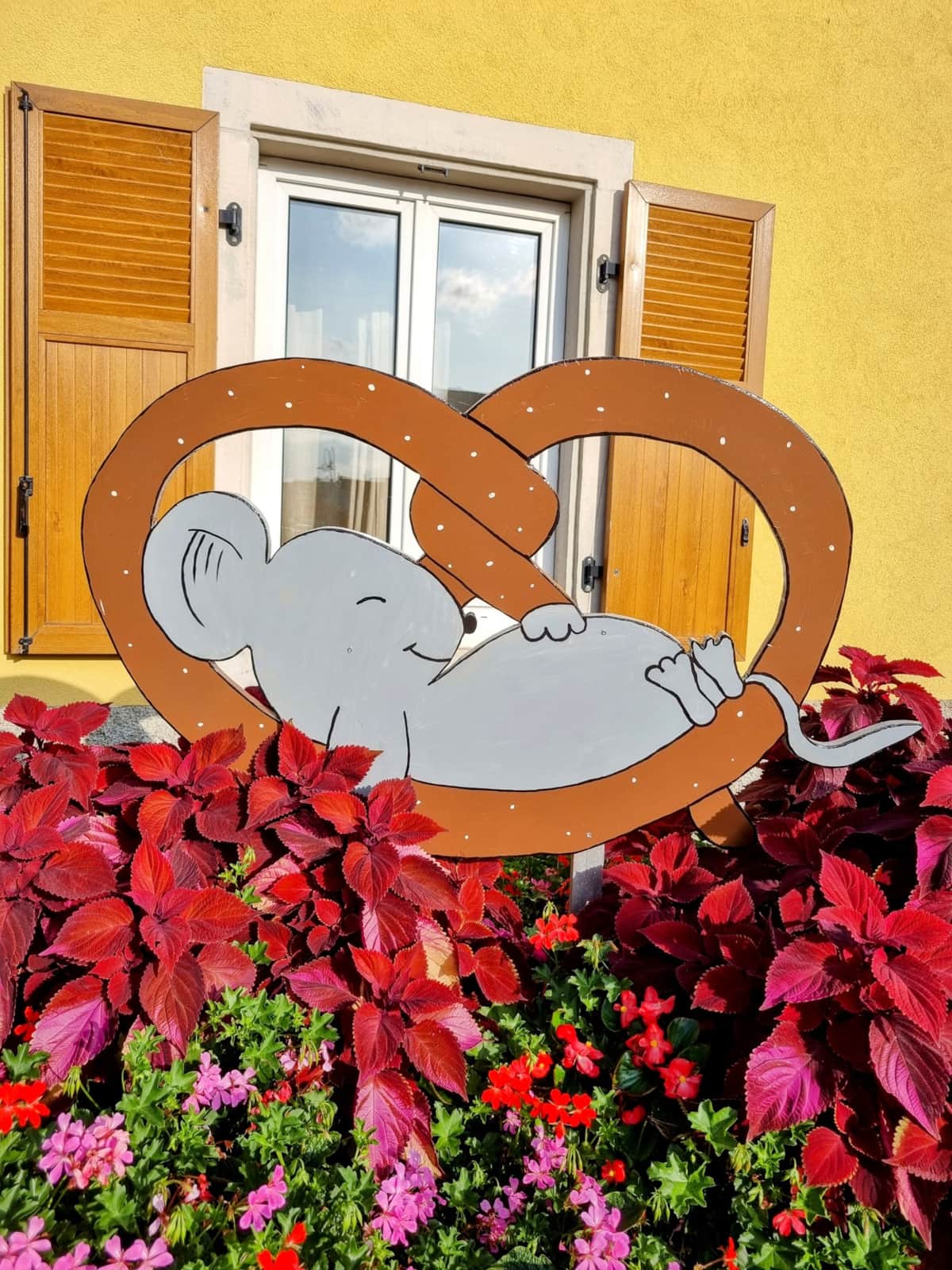 Meublé Cosy bretzel - Adam Jérémy