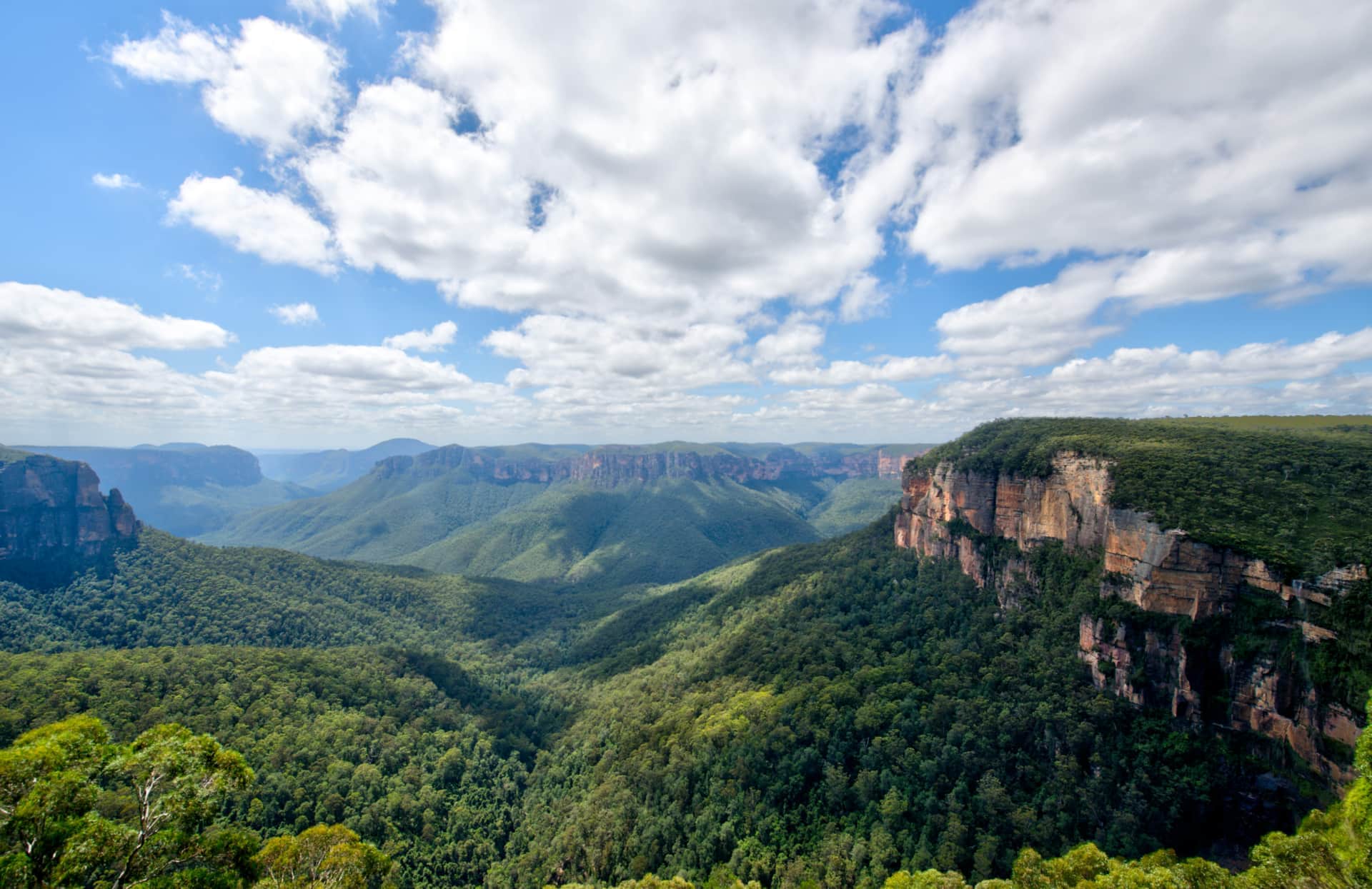 Hidden Bushwalks