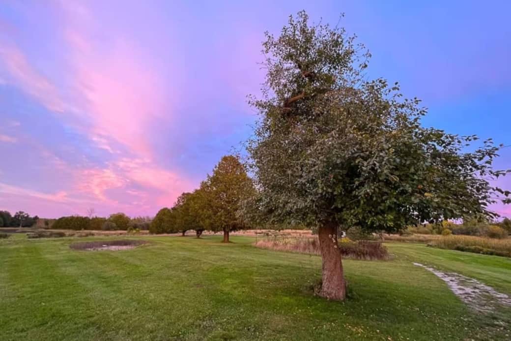 Cotton Candy Sky at 100 Acre Lodge