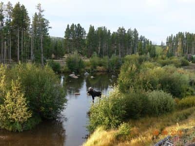 The river in front of your cabin