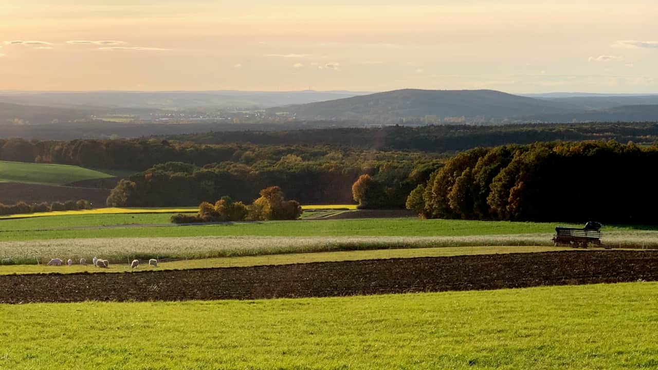 Bamberg im Blick