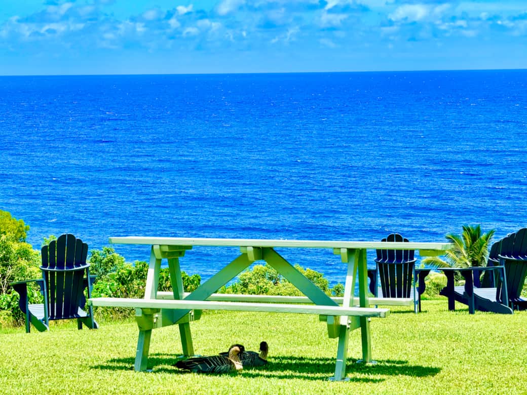 Cliff View Upclose Cliff View Upclose