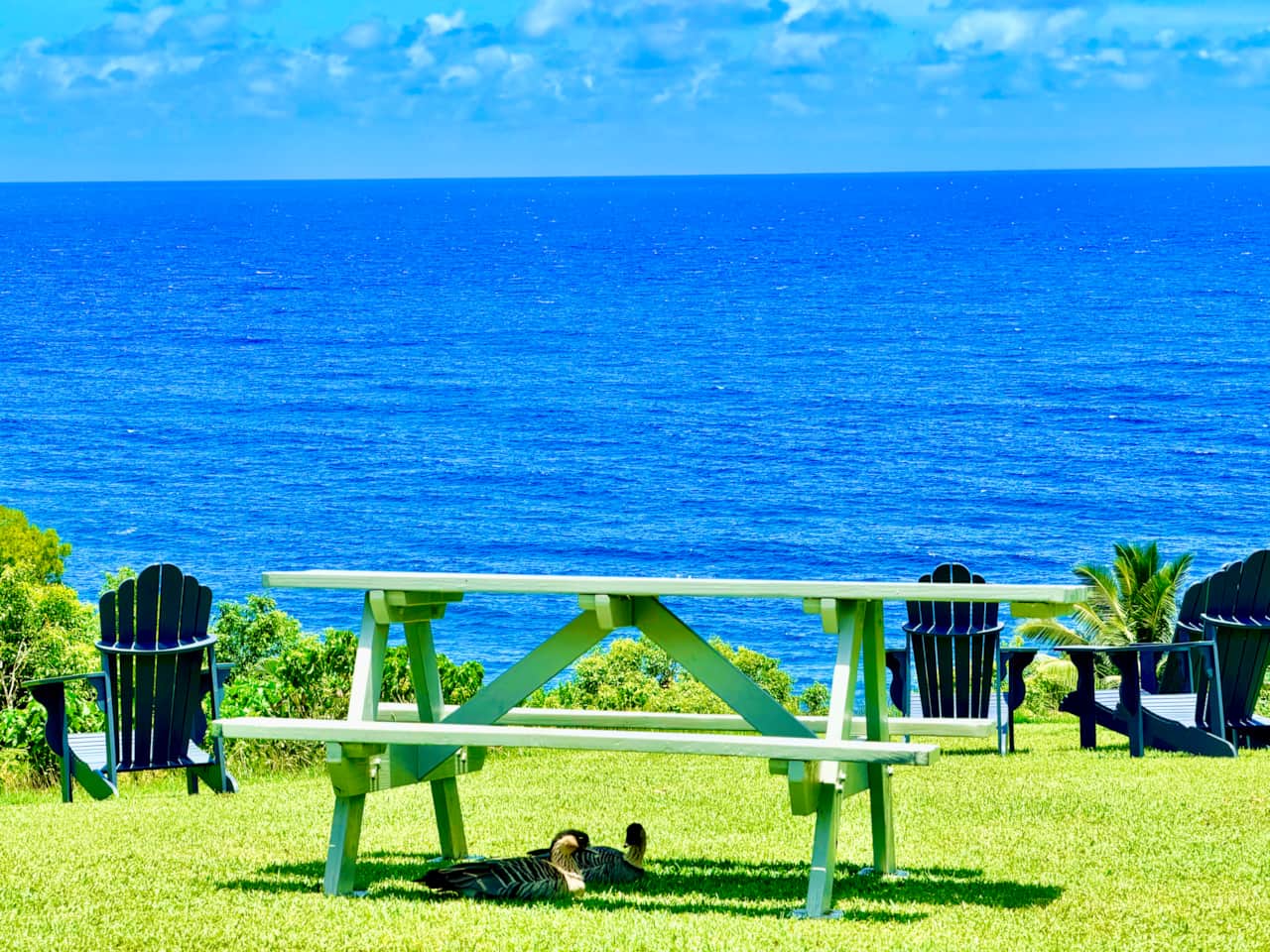 Cliff View Upclose
