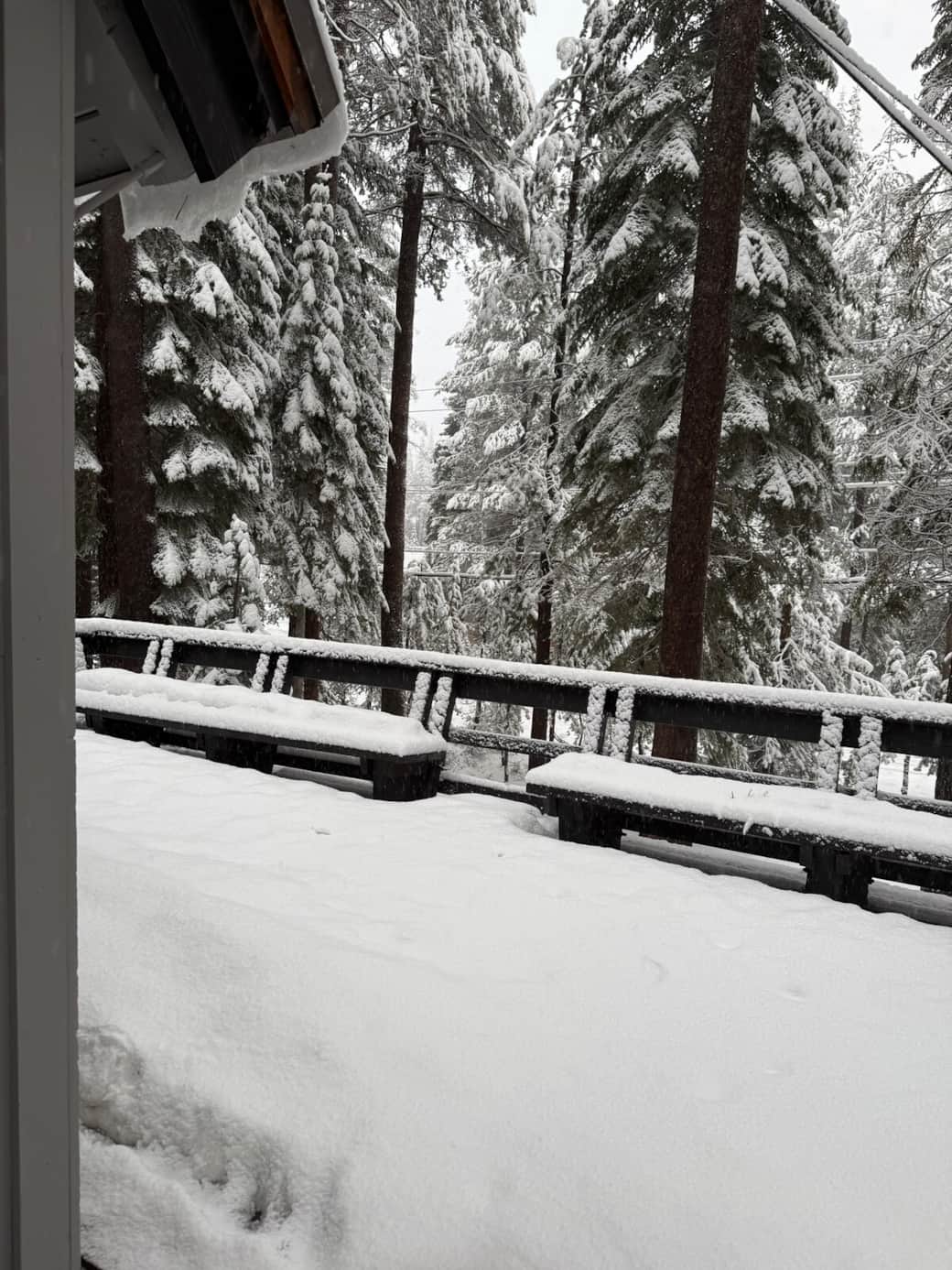 front deck