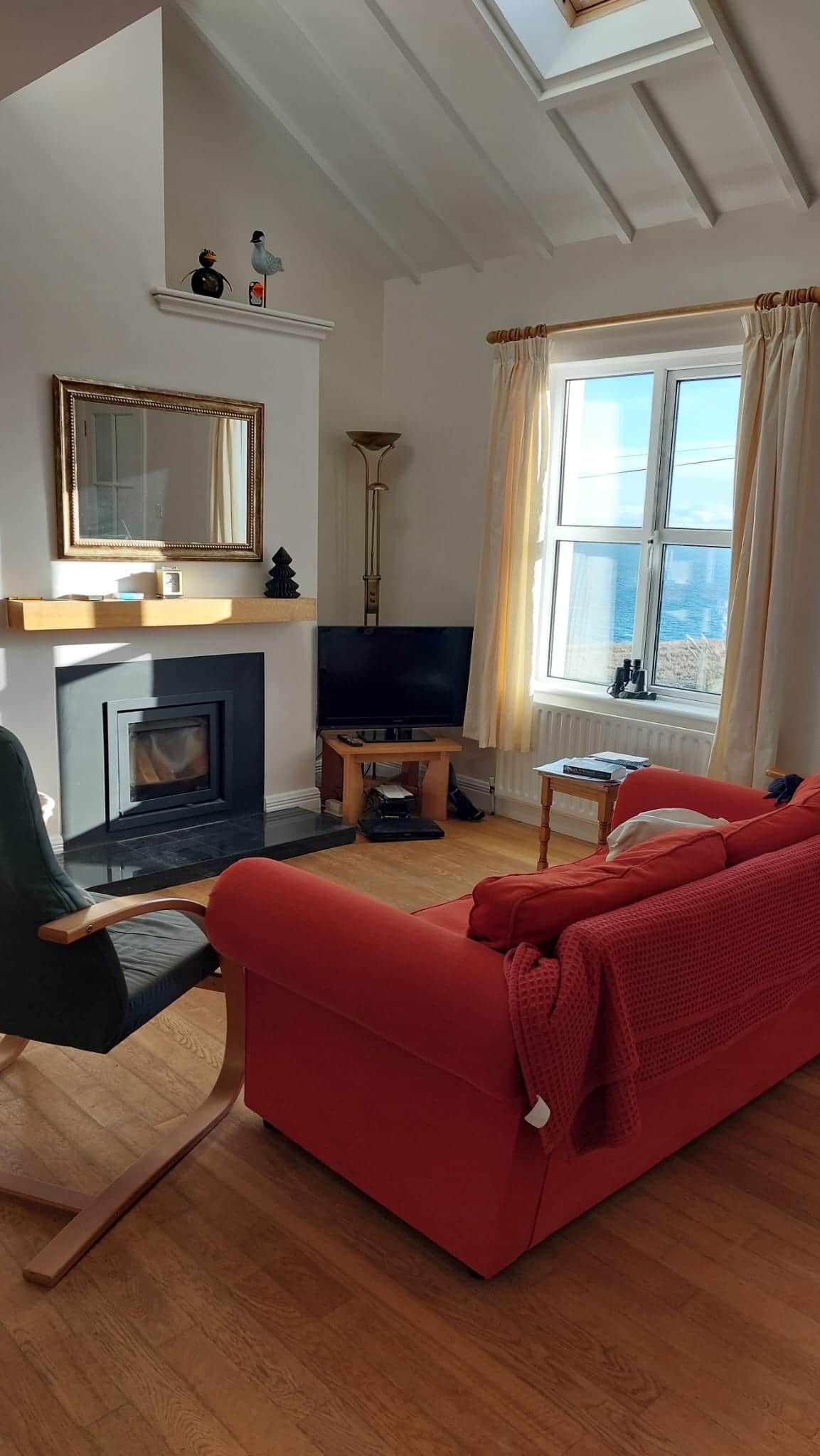 Living room and fire place