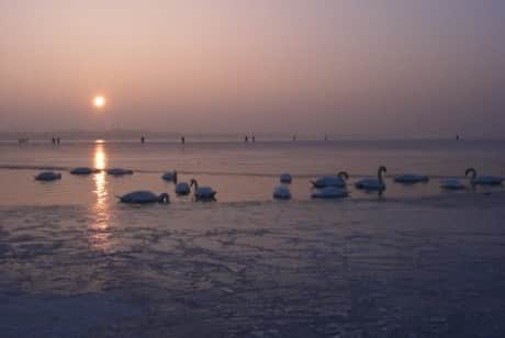 Sonnenuntergang genießen