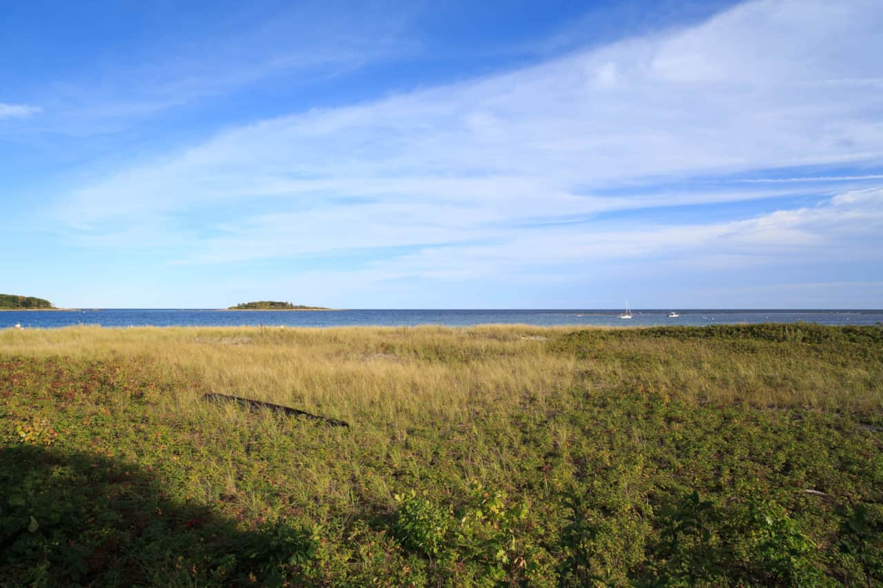 P71A0258.jpg