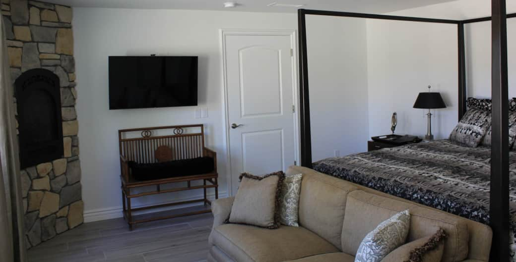 Fireplace and TV in the bedroom