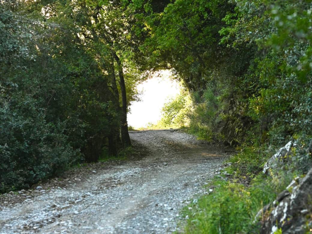 Anfahrt nach Serpolla