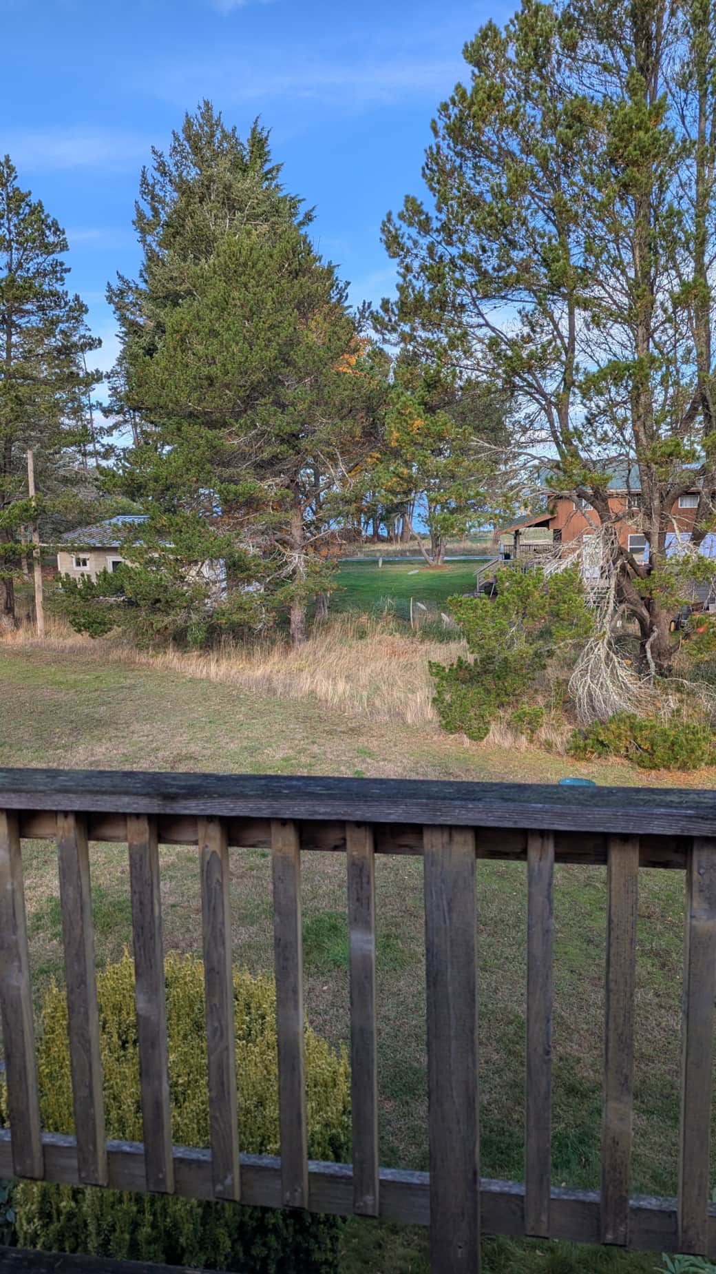 View from Front Deck