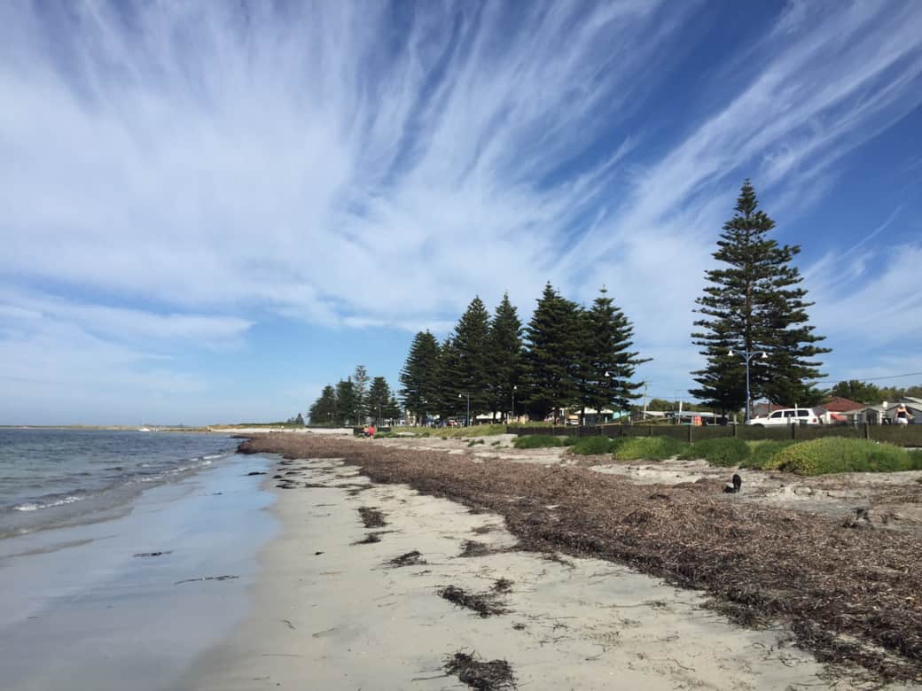 One of the many local dog beaches and walks. One of the many local dog beaches and walks.