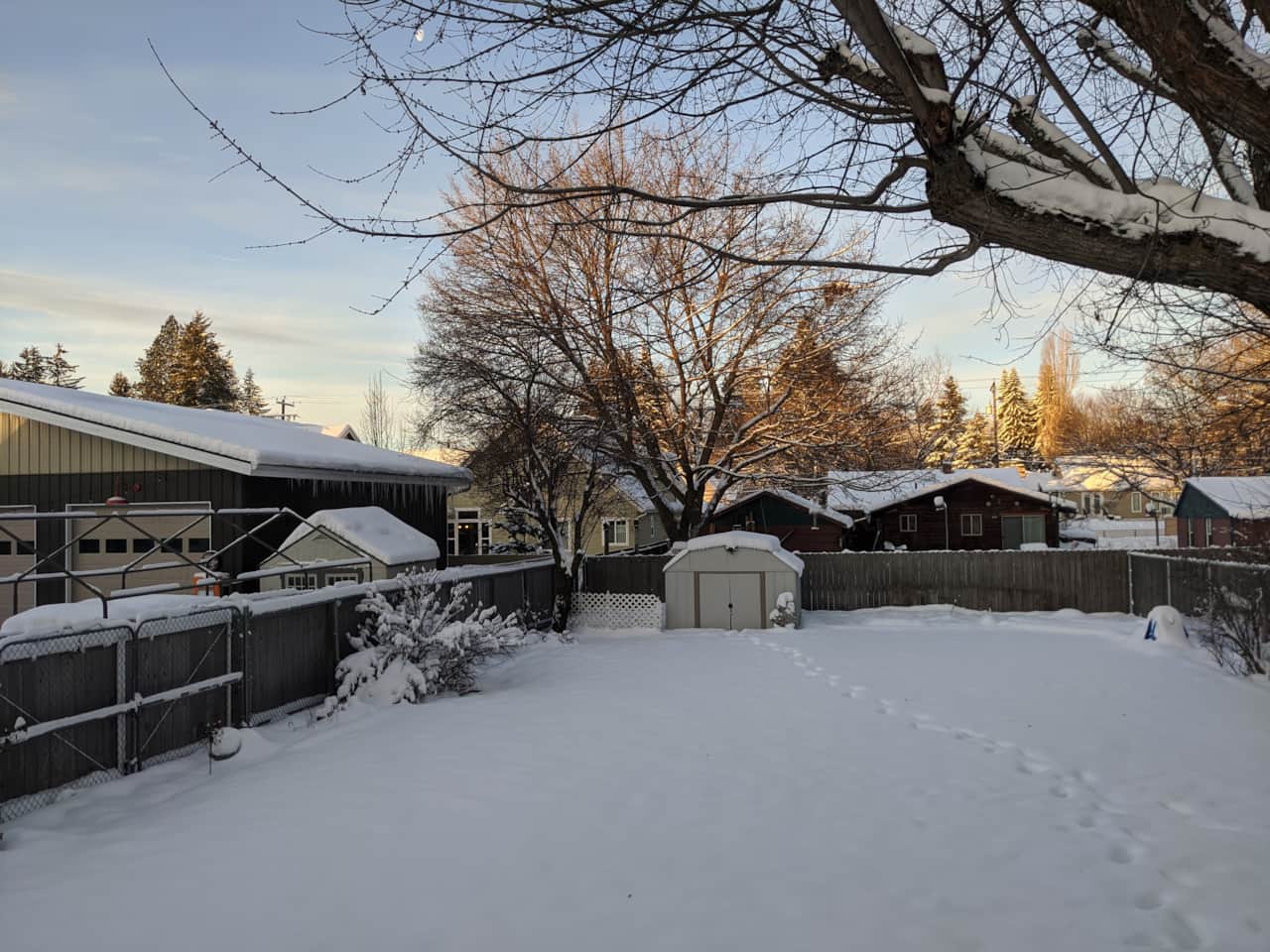 Backyard - Winter