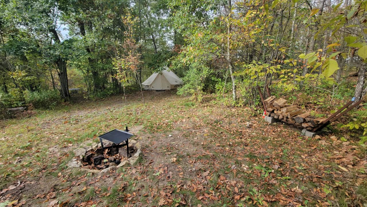 Quercus Campsite