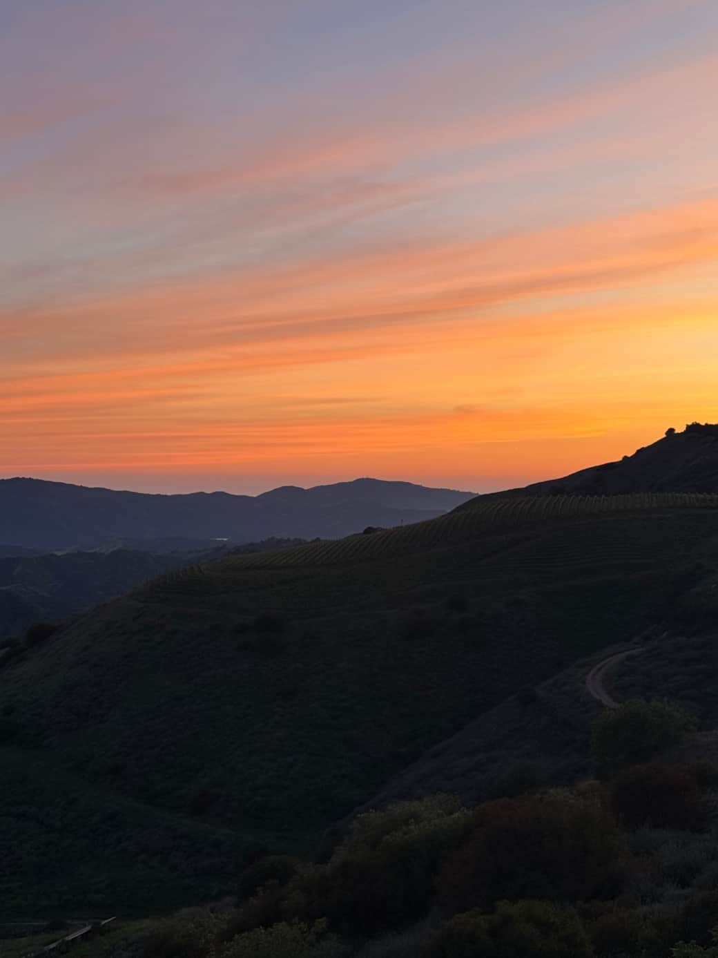 Incredible Sunsets - Our Specialty