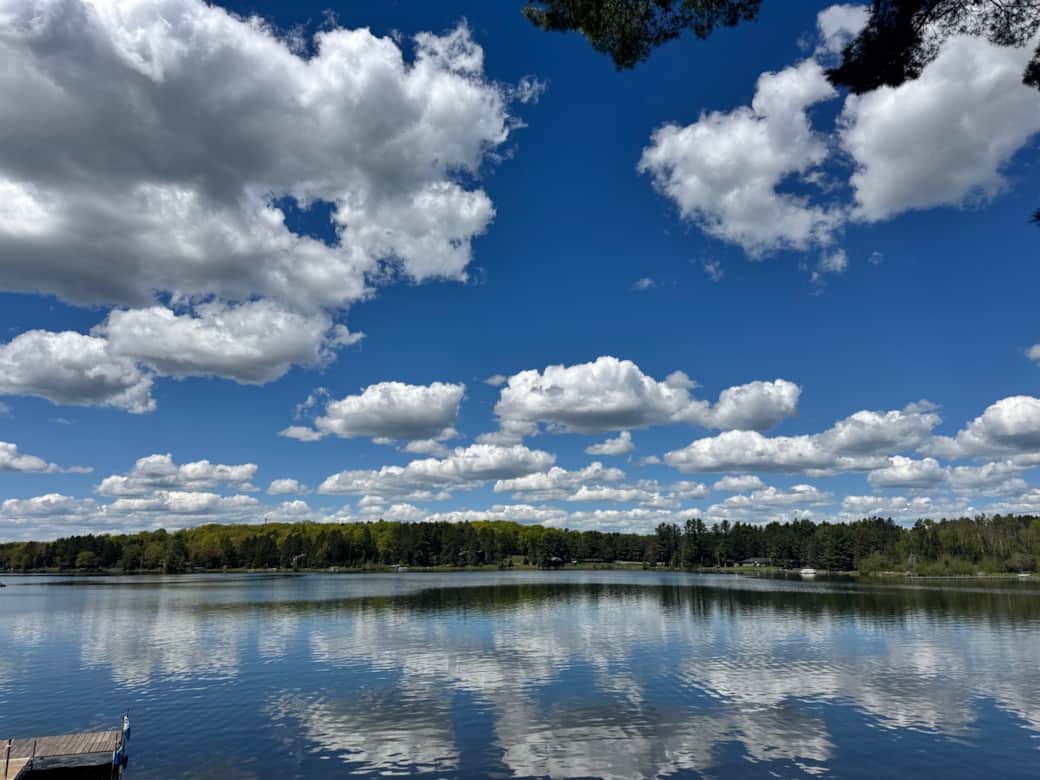 Summer Beauty on Lost Lake