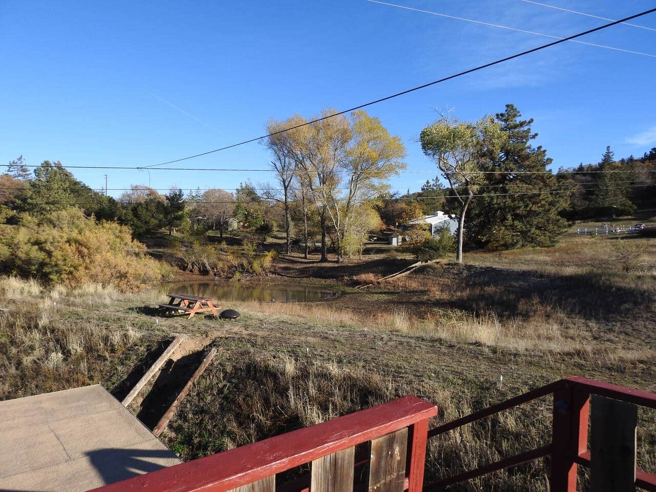 View from deck of pond area