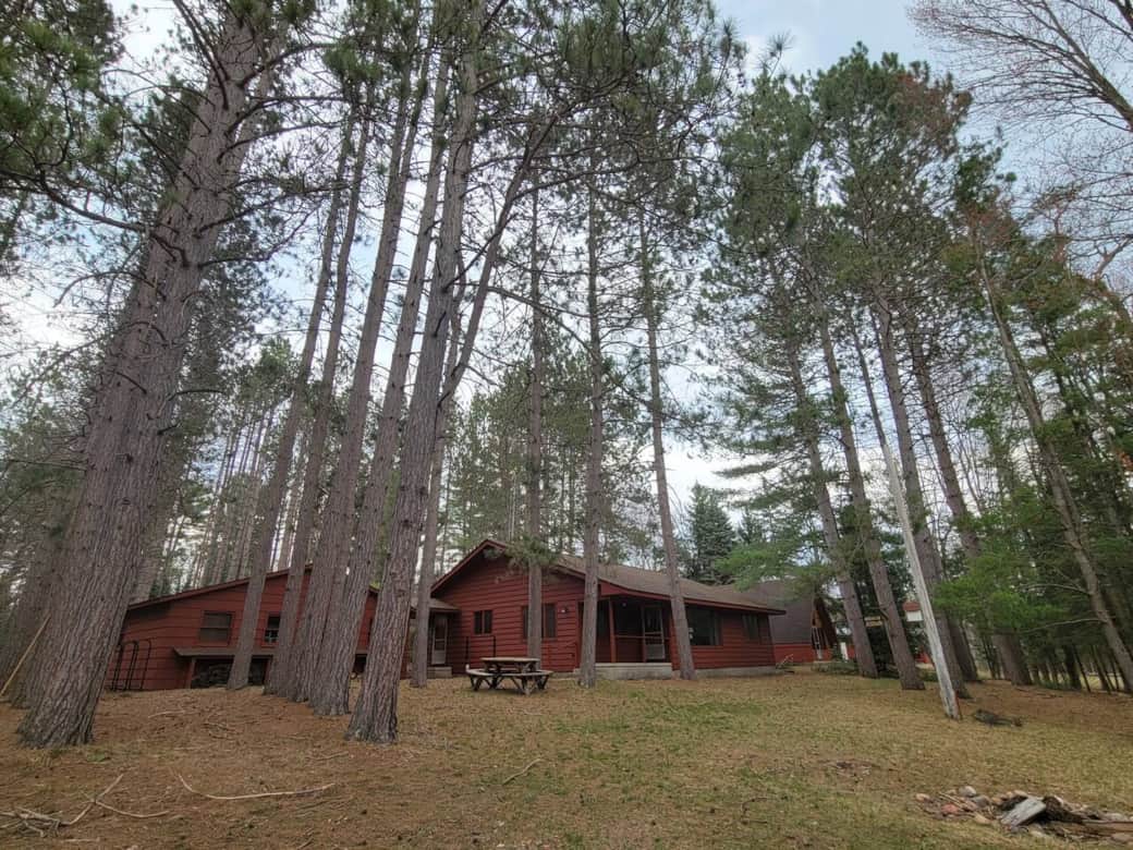 Framed in towering red pines, the cottage screams "up north" Framed in towering red pines, the cottage screams "up north"