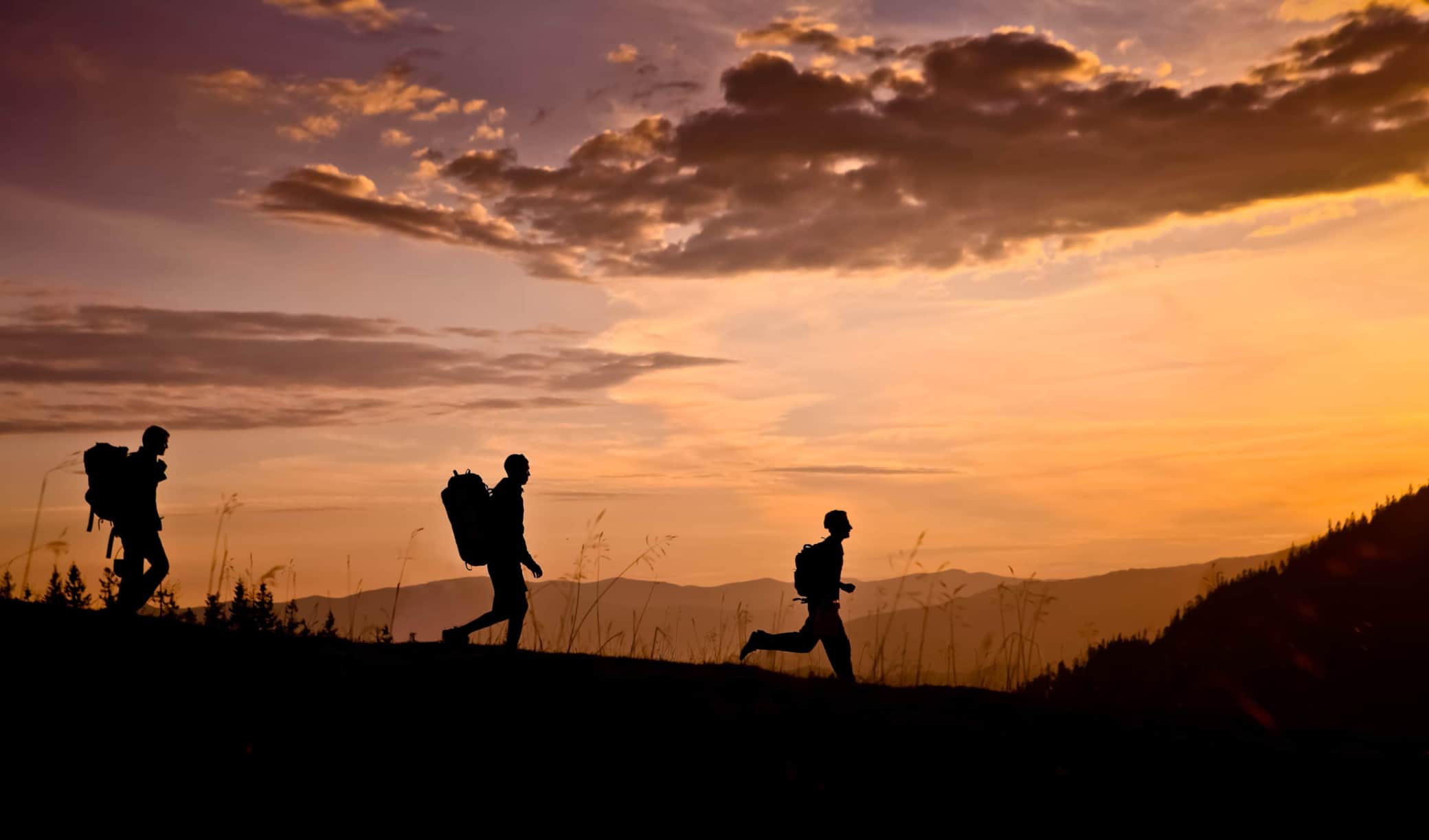 https://l.icdbcdn.com/oh/77501f87-f80d-4cd4-8b27-8dd540bcab57.jpg?w=2080-2