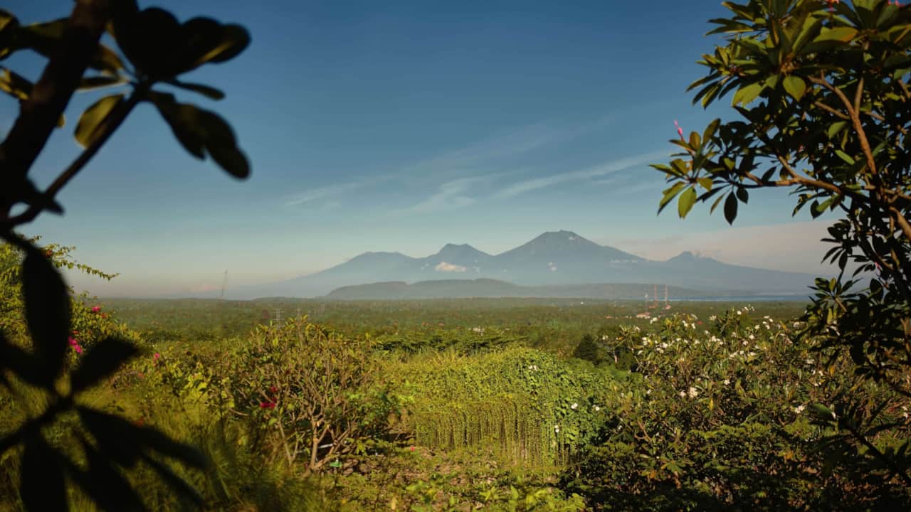 Villa Kurma Bali Sumberkima 