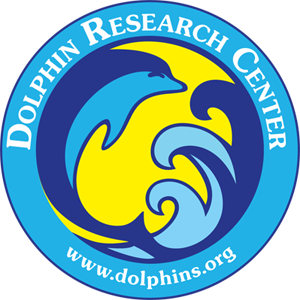 Dolphin Center