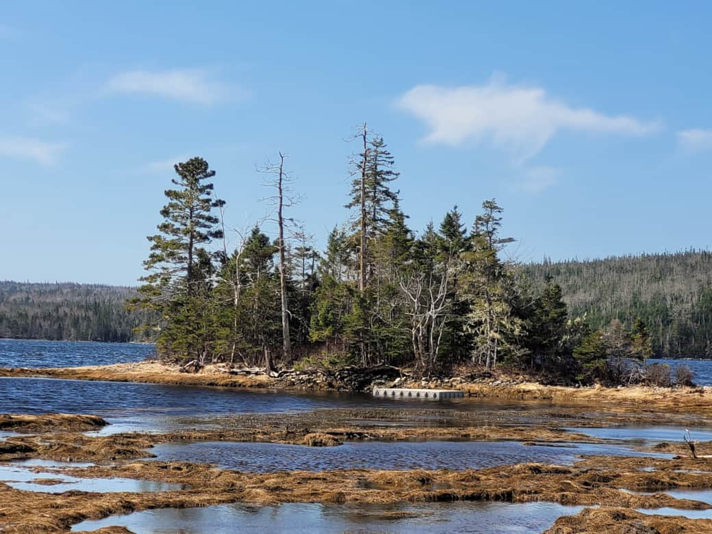 Low tide at the lagoon
