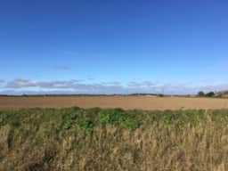 Field Horizon