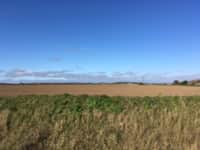 Field Horizon