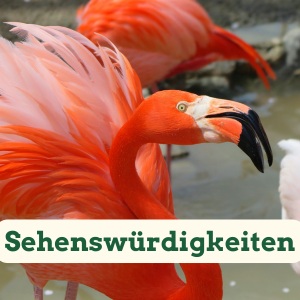 Sehenswürdigkeiten