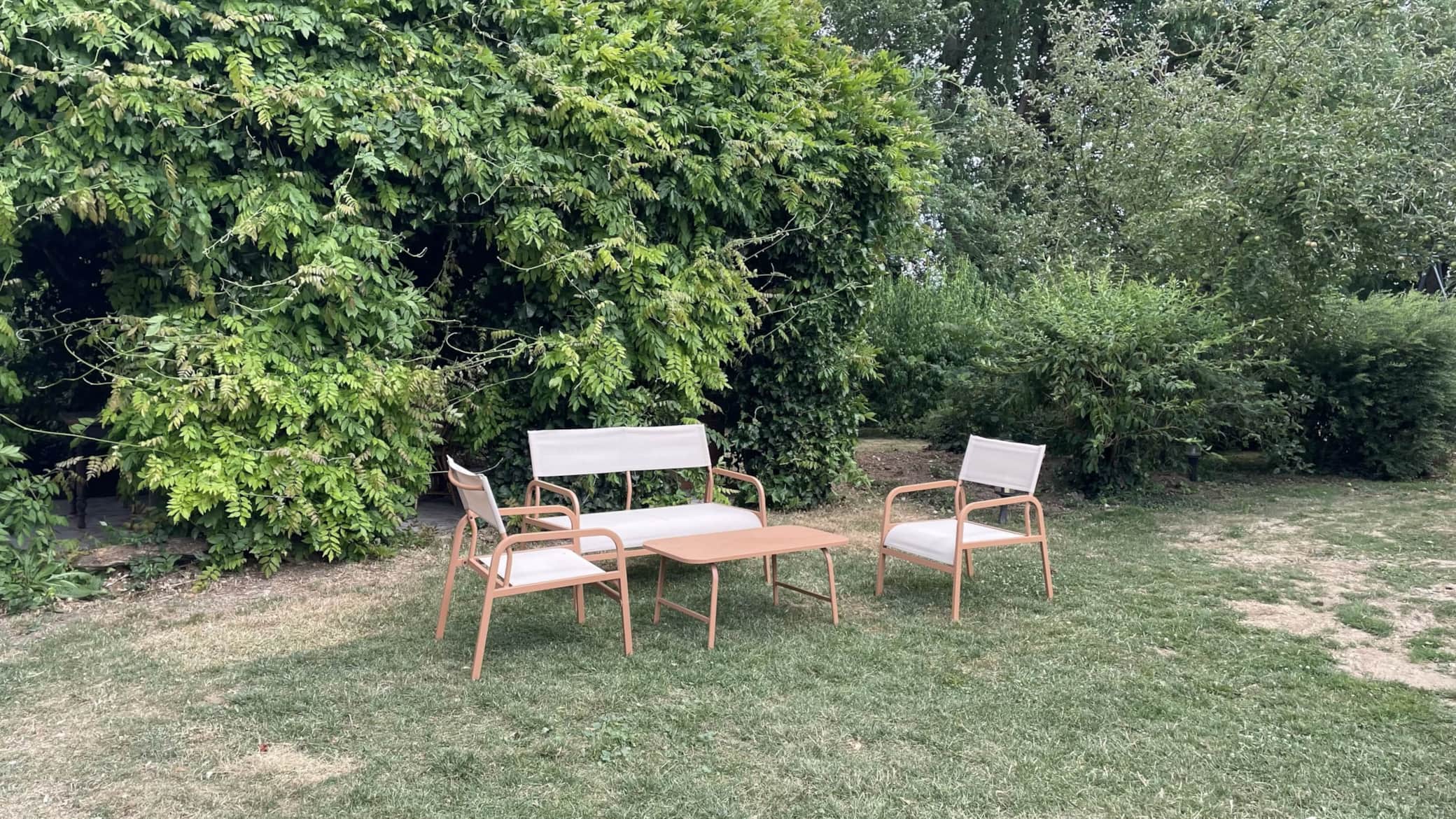 Jardin 3.jpeg