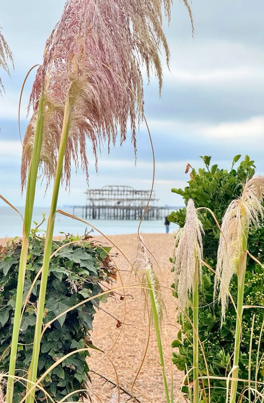 Short 20minute walk to the seafront