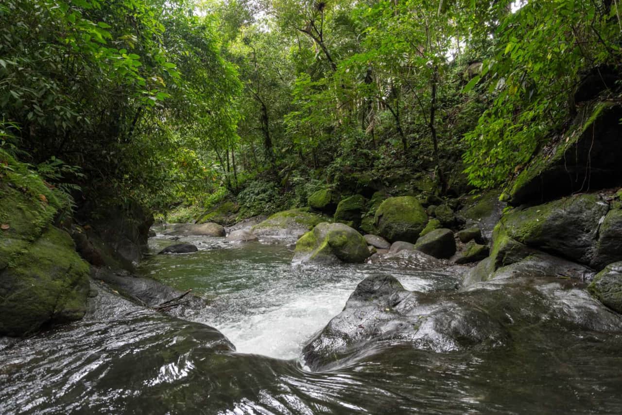 WATERFALL HEAVEN MANUEL ANTONIO