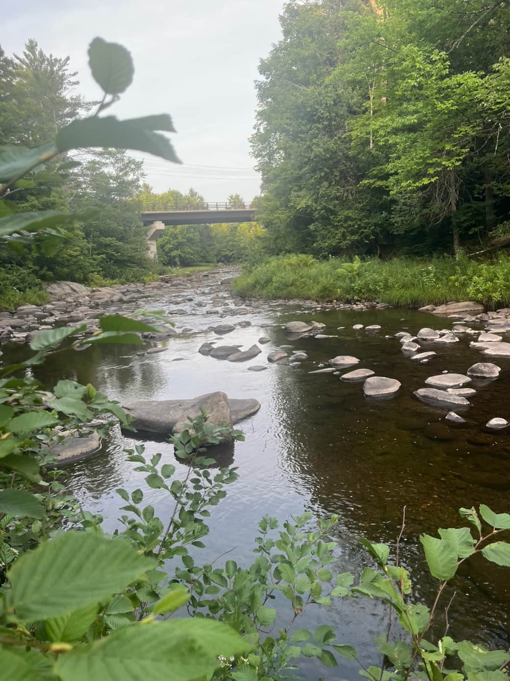 198BAE65 713C 4790 89DA B5A90CE5EC27 1 102 o