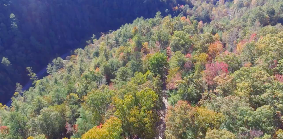 Hot Springs Treehouse Cabins Nc Your Getaway In The Blue Ridge