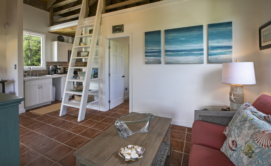 NEW build! Spring 2019!